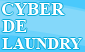 Cyber De Laundry